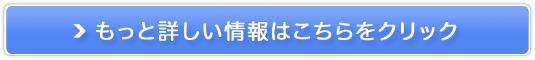 Vbvɂɂ|fB[Xʔ̔̔TCg